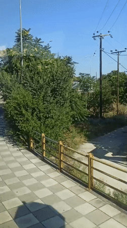 Street-level and outdoor views from a summer morning in Larissa