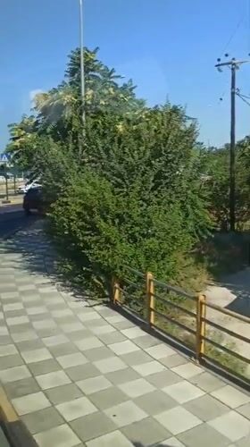 Street-level and outdoor views from a summer morning in Larissa