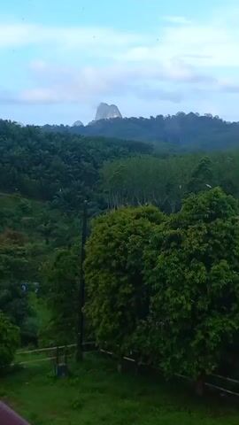 The video shows a lush, green landscape. In the foreground, there are trees with dense foliage and a simple wooden fence. Beyond this immediate area lies a thick forest with a variety of trees and plants. In the distance, rolling hills or mountains are visible under a partly cloudy sky. The video is stable and provides a clear view of the scenery.