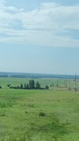 A distant, wide shot of a rural landscape. The foreground is dominated by a field of bright green grass. In the middle ground, there is a vast, green field dotted with numerous dark, round bales of hay, suggesting recent harvesting. Several sparse trees stand in the middle distance, with a line of utility poles stretching across the field behind them. The background consists of a distant tree line and a hazy, light blue sky with scattered white clouds. The shot is taken from a moving vehicle, as evidenced by the slight blur and the way the trees in the immediate foreground appear to move past the camera.