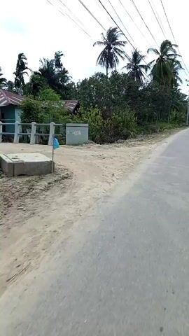 The camera travels along a grey asphalt road lined with dirt on the left side. The dirt banks next to the road morph into grassy drainage ditches. The scenery is characterized by a dense collection of green trees and tall palm trees against a cloudy, white sky. Electrical wires stretch across the sky above the road. In the distance, a person in a red shirt walks alongside a child along the edge of the road, passing a motorcyclist traveling in the same direction. Utility poles with streetlights are visible along the roadside.
