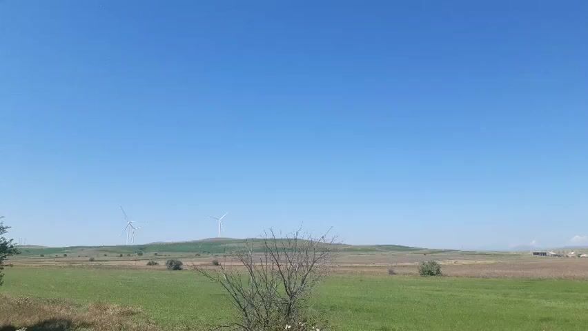 The video shows a wide, open landscape under a clear blue sky. In the distance, several wind turbines are visible, their blades turning. The foreground features a field of green grass and a small, bare-branched shrub. The overall impression is one of a rural or agricultural setting on a sunny day.