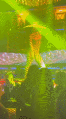 Costumed performers entertain at Batumi nightclub celebration
