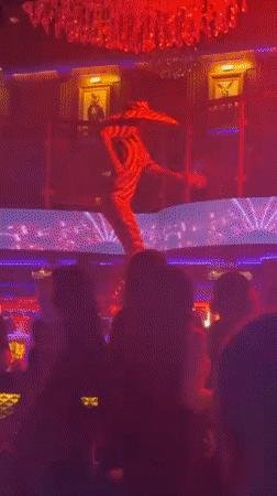 Costumed performers entertain at Batumi nightclub celebration