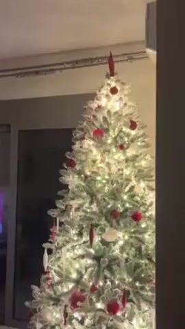 A Christmas tree decorated with lights and red ornaments is shown. The tree is flocked with white material meant to simulate snow. The room it is in gets dark as the camera's lens changes to adjust to the changing light. A sliding door to the left is partially visible. A voice can be heard speaking.
