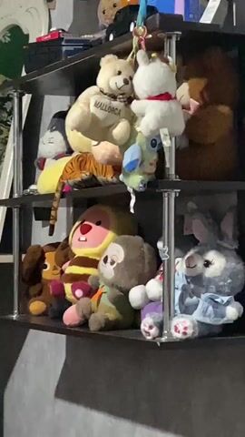 The video shows a close-up view of several shelves filled with stuffed animals. The shelves are dark brown and supported by silver metal poles. On the top shelf, there are several teddy bears, including one larger brown bear, a beige bear with "MALLORCA" written on its chest, and a white bear with a red ribbon. There are also smaller stuffed animals, including a striped tiger, a blue dinosaur-like creature, and a white unicorn. On the lower shelf, there are more stuffed animals, including a large monkey with a yellow and red face, a smaller brown monkey, a purple stuffed animal, and a gray bunny rabbit wearing a blue dress. The stuffed animals are arranged closely together on the shelves, and some are leaning against each other. The background is dark and out of focus, but it appears to be a wall. The lighting is dim, with some light source coming from the left, casting shadows on the wall behind the shelves. There are no people visible in the video. The video appears to be filmed from a low angle, looking up at the shelves.