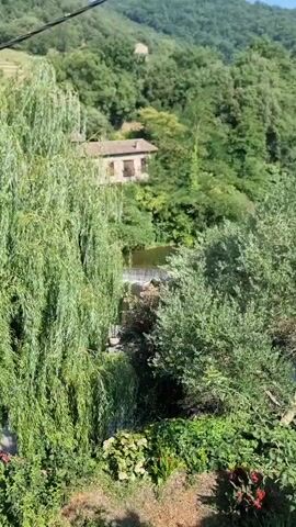 A video shows a rural landscape with a house in the background. The foreground is filled with trees and bushes. A river flows through the middle ground. The sun is shining, and the sky is blue.