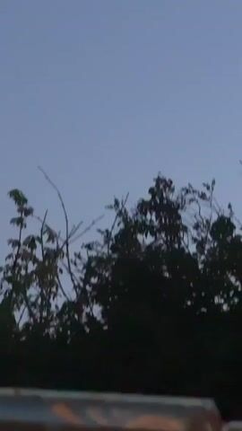 The video captures a transition from dusk to night. The bottom of the frame shows the silhouetted branches of trees against a darkening sky. As the video progresses, the sky shifts from a pale blue to a deeper, dusky hue. In the latter half of the video, a crescent moon becomes visible in the upper portion of the sky, emitting a soft glow.