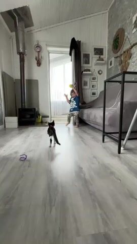 A young child, wearing a blue t-shirt and patterned leggings, stands in a room with light-colored wood flooring and white paneled walls. The child holds a yellow ball and interacts with a black and white kitten. The kitten is positioned on the floor in front of the child, facing the child. A hand is visible in the foreground, extending towards the child. In the background, a sofa, a fireplace with a chimney, and a doorway leading to a bright area are visible. The room appears to be a living area.