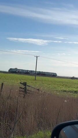 The video shows a train moving across a countryside landscape on a bright, sunny day with a few clouds in the blue sky. A large green field stretches out in front of the train track. In the distance, a group of cows graze in the field near the tracks. A wooden utility pole stands in the left side of the frame. Some reeds and bushes are visible at the bottom of the frame. The reflection of an object, presumably the side mirror of a car, is visible at the very bottom right of the frame, suggesting the video was recorded from a moving vehicle. The train itself is silver, with a line of windows visible along its length, and red accents.