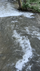 Witness documents forest stream and woodland details over 30 minutes