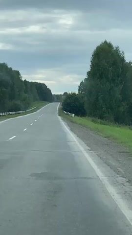 The video shows a view from a moving vehicle on a paved two-lane road. The road is lined with trees and guardrails on both sides. The sky is cloudy. The road curves to the left and then to the right, leading up and over a hill. The sun is not visible, and the lighting suggests it is daytime, possibly overcast. There are no other vehicles or people visible in the video. The road surface appears to be in fair condition with some visible cracks and repairs. The trees are green, indicating it is likely summer or early autumn. The guardrails are white and metal.