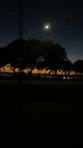 The video is a dark and blurry roadside view at dusk or dawn. The sky transitions from dark blue at the top to a warm orange glow at the horizon. Silhouettes of trees, including palm trees, line the horizon, separating the sky from what appears to be a body of water. Headlights of a vehicle are visible in the distance behind the trees. The foreground is dark, possibly a roadside area, and there are indistinct vertical elements that could be poles or parts of the recording equipment.