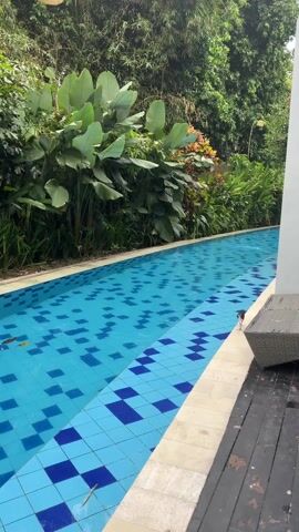 The video shows a tranquil scene of a long, rectangular swimming pool surrounded by lush tropical foliage. The pool is filled with clear blue water and features a pattern of blue and light blue square tiles on its bottom. A small bird stands on the pool's edge near a woven outdoor chair. The landscaping includes large-leafed plants and a variety of green trees and shrubs. A white wall is visible on the right side of the frame. Overhead, a simple hanging light fixture adds to the serene ambiance.