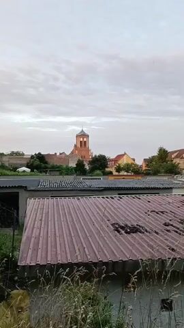 This is a vertical, landscape-oriented video clip showing a view over rooftops towards a distant church tower. The foreground is dominated by the corrugated red metal roof of a shed or garage, with overgrown weeds and dry grass in front of it. Behind this, another building with a grey roof is visible, and beyond that, more buildings and lush green trees form a midground. The focal point of the background is a prominent church with a tall, octagonal tower featuring arched windows and a domed roof, illuminated by the soft light of early morning or late evening. The sky is overcast with a pale, cloudy texture. The scene appears to be a residential or semi-rural area, with the church suggesting a small town or village setting. The time of day is likely dawn or dusk, given the muted lighting and cloudy sky. The overall mood is quiet and perhaps a little melancholic due to the overgrown vegetation and the overcast weather. There is no visible text in the video.