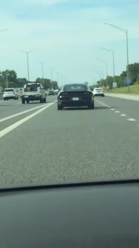 Black Dodge Charger spotted on Woodridge highway