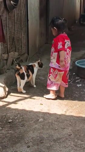 Everyday life in a Kedung Dowo compound, cat and all