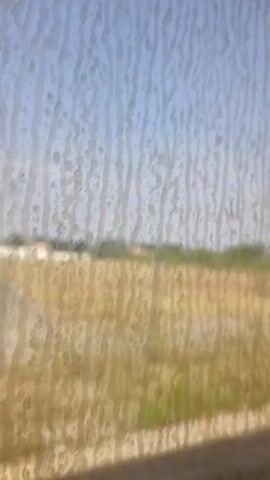 This video shows a view from a moving vehicle, likely a train, looking out a window. The window appears to be streaked or smudged, creating a textured effect on the footage. The scene outside is a rural or semi-rural landscape.

The primary subjects are trees, including tall pine trees with characteristic feathery foliage, and scrubby bushes and dry grass in the foreground and midground. There are also glimpses of buildings. In the early frames, a few scattered dark shapes that might be birds are visible against the sky. Later, a white building with an orange roof is prominent, along with other structures and a fence. The landscape suggests a dry, possibly warm climate.

The activity taking place is the vehicle's movement through the landscape. The blurriness of the footage and the shifting scenery confirm this. The time of day appears to be daytime, with a bright sky and sunlight casting shadows. The weather seems fair, with a clear blue sky. The location cues from the prompt, Pinhal Novo, Portugal, suggest this is a Portuguese landscape. No emotions are conveyed as there are no people visible. There is no visible text in the video.