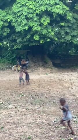 In Ogbu, Nigeria, a daytime scene unfolds on a dusty, earthy patch of ground under a large tree with lush green foliage. In the foreground, two young children, shirtless and wearing shorts, are engaged in what appears to be a playful wrestling match or physical game. Another small child is seen running across the bottom of the frame. In the background, several adults are seated on plastic chairs under the shade of the prominent tree, observing the children. The overall atmosphere suggests an informal outdoor gathering or playtime in a community setting.