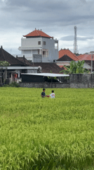 Children stand in rice field in Sukawati, Indonesia