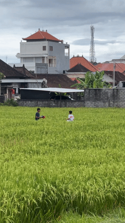 Children stand in rice field in Sukawati, Indonesia