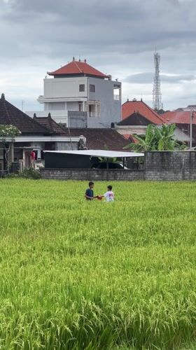 Children stand in rice field in Sukawati, Indonesia