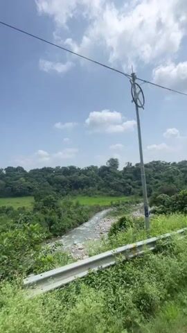 A video shows a landscape view from a moving vehicle. The scene is dominated by lush green foliage and trees, with a blue sky and scattered clouds above. In the foreground, there is a metal barrier, possibly a guardrail, separating the road from the natural environment. The camera appears to be positioned slightly above the ground, looking out at the expansive greenery. There is a hint of a body of water or a stream flowing through the landscape in the distance, adding to the natural beauty of the scene. The overall impression is one of a scenic drive through a verdant, possibly rural or forested area.
