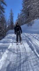 Skier travels forest path in sunny Saint-Chaffrey conditions