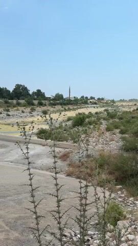 The video shows a rural landscape. In the foreground, there are several thorny plants and a paved surface that appears to be a road or path. The background features a dry riverbed with some sparse vegetation and a small pool of stagnant, greenish water. Beyond that, there are trees and some buildings, including what looks like a minaret from a mosque. The sky is blue with a few scattered clouds. The overall impression is of a dry, somewhat neglected environment. There are no people visible in the video. The camera is panning slightly to the right.