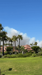 Smoke rises inland as kite surfers work the Estepona coast