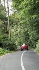 Red car travels tree-lined curved road in Tegallalang