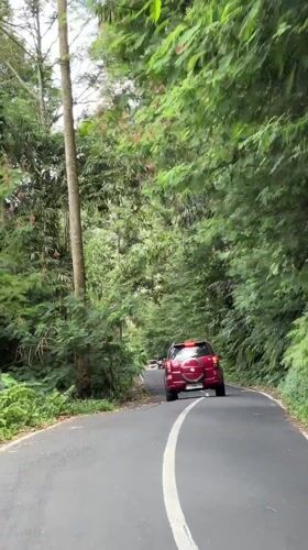 Red car travels tree-lined curved road in Tegallalang