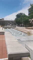 Sunny morning scenes documented across Blagoevgrad public square