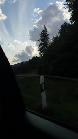 The video begins with a view out of a car window, showing a cloudy sky and a dense forest. A tall evergreen tree stands in the middle ground. In the second frame, a person's hand reaches out of the window, with a plaid shirt sleeve visible. The hand is extended towards the evergreen tree. The subsequent frames continue to show the view from the car window as it moves, with the forest and sky passing by. The hand remains visible in the foreground for a few seconds before disappearing from view.