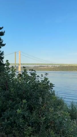This video shows a wide shot of a body of water with a suspension bridge in the distance. The sky is clear and blue. In the foreground, there are green bushes and some dry grass. The water is calm with small ripples. A small boat is visible on the water in the middle ground. A sign that reads "PLEASE STAY BEHIND FENCE" is partially visible in the lower right corner of the frame. The camera pans slightly to the right, showing more of the water and the shoreline with trees.