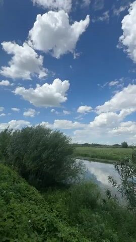 The video shows a body of water next to a path with green vegetation. There are trees and bushes. The sky is blue with white clouds. The camera appears to be moving.