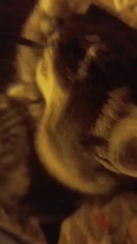 The video shows a close-up, shaky, and poorly lit view of a black and tan cat. The cat's face is visible, with its whiskers, eyes, and ears clearly discernible. The cat appears to be lying down on a textured surface, possibly a blanket or bedding, which is a mix of light and dark colors. The lighting in the video is dim and appears to be coming from an artificial source, casting shadows and making it difficult to discern finer details of the environment. There are no other people or animals visible in the frame. The video is very brief, lasting only a few seconds.
