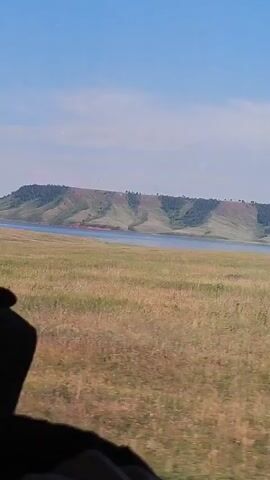 This is a video file of a scenic landscape with a body of water and a large hill or mesa in the background. The foreground is a field of dry, golden-brown grass, suggesting a warm, possibly dry, season. The sky is clear and blue with a few wispy clouds.

The dominant feature in the middle ground is a wide, calm body of water, likely a lake or a wide river, reflecting the blue sky. Beyond the water, a large, layered hill or mesa rises, with its slopes showing patches of green vegetation and exposed earth or rock in reddish-brown tones. The top of the mesa is sparsely covered with dark green trees.

The video appears to be shot from a moving vehicle, as evidenced by the slight blur and motion in the foreground and the framing of the shot. A dark silhouette, possibly the shoulder and hood of a person wearing dark clothing, is visible in the bottom left corner of the frame, further indicating that the viewer is inside a vehicle.

The overall impression is one of natural beauty and open space. The time of day appears to be daytime, likely late morning or early afternoon, given the bright sunlight and clear sky. The weather seems pleasant and fair. While no specific text is visible, the image evokes a sense of tranquility and the vastness of the natural world. The location is identified as Novolenino, Russia.