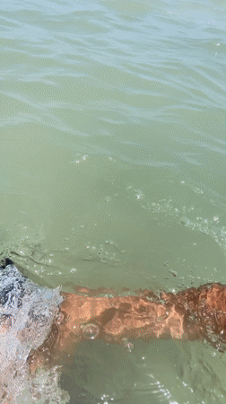 Man drinks from silver cup while standing in Venezuelan ocean