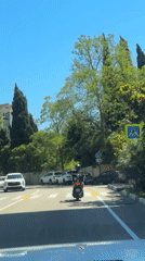 Scooter rider travels sunny tree-lined road in Sochi