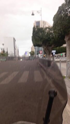 The video presents a street scene shot with the camera oriented 90 degrees to the right (clockwise), making the road appear vertical. The overall setting is an urban environment on an overcast day.

In the foreground, on the right side of the frame (which would be the bottom if the video were correctly oriented), there's a sidewalk curb painted with red and white stripes. Adjacent to the curb is an asphalt road featuring prominent white zebra crosswalk markings. Part of a dark object, possibly the interior of a vehicle or a camera mount, is visible in the bottom right corner of the frame.

As the video progresses and the camera moves forward, the midground reveals more of the street. Tall, leafy green trees line what appears to be a median or sidewalk area on the left side of the road. Among these are several palm trees. Various buildings are visible, including a multi-story structure with a distinctive tan facade and arched windows, and several modern white buildings further down the street. A tall, ornate street lamp post with a decorative light fixture is visible on the far left. Traffic signs are present, including a red triangular "Yield" sign (inverted triangle) with a black border, and a smaller blue rectangular sign below it. A traffic light showing a red signal is also discernible. Several vehicles are on the road, including a light-colored (possibly white or light blue) car and what appears to be a scooter or motorcycle further in the distance.

The background shows more buildings receding into the distance under a vast, grey, cloudy sky. The overall impression is one of a bustling city street on a somewhat gloomy day.

The primary activity is the camera moving forward along the street, suggesting it's mounted in a vehicle or being carried by someone walking. The distinct sound of an engine running is audible throughout the video, reinforcing the impression of vehicular movement. No people are clearly visible, but the presence of vehicles and crosswalks indicates an active urban area.
