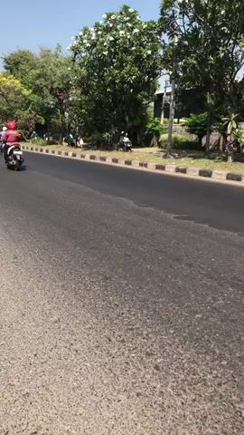 A motorcycle rider is seen from behind as they ride down a paved road. The rider is wearing a dark jacket, blue jeans, and a helmet. The motorcycle has a black storage box attached to the back. In the background, there are trees, bushes, and a sidewalk. Several other motorcycles are also visible on the road and sidewalk. The weather appears to be sunny.