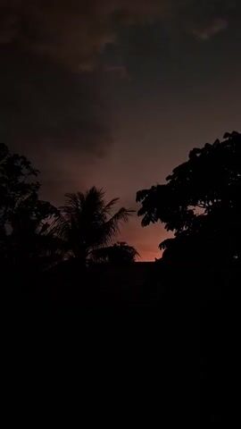 The video captures a silhouette of trees against a dark sky with a hint of sunset color. The scene is dark with the exception of the fading light of the sun peeking through the foliage.