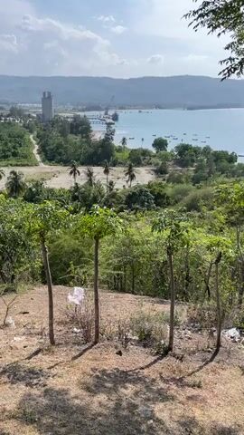 The video opens with a view of a tropical landscape. In the foreground, a dirt path is visible, with several young trees with thin trunks and green leaves planted in a row. Behind these trees, a wider view of the terrain unfolds. Lush green vegetation covers the middle ground, with scattered palm trees dotting the landscape. In the distance, a body of water, likely the ocean or a large bay, stretches across the horizon. Along the shoreline, there is a beach area with a pier extending into the water. A large ship is docked at the pier, and a crane is visible nearby, suggesting industrial activity. Numerous small boats are scattered across the water. Beyond the water, rolling hills and mountains form the backdrop, disappearing into a hazy sky. The overall impression is of a coastal area with both natural beauty and industrial presence.