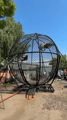 Globe of Death motorcycle stunt show, Saint Petersburg