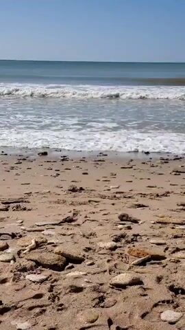 A static, ground-level shot captures a sandy beach with small rocks and debris scattered across it. In the background, the ocean meets the sky with gentle waves rolling ashore. The water is a mix of blue and white foam. The sky is clear and blue. No people or animals are visible.