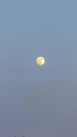 The video shows the full moon in a clear sky. The moon is yellow, round, and small in the frame. There are some dark trees barely visible at the very bottom of the shot. The sky is a light blue. The camera remains still throughout.