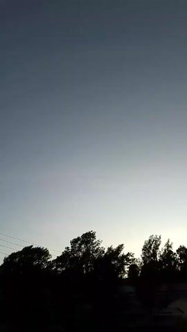 The video shows a low-angle shot of a dark treeline against a hazy sky. The sky fades from a deep grey at the top of the frame to a lighter grey/white near the horizon. A few power lines are visible in the lower left corner. The trees are silhouetted against the bright part of the sky. Some buildings or structures can be barely seen behind the trees. The trees appear to be moving slightly, likely due to wind.