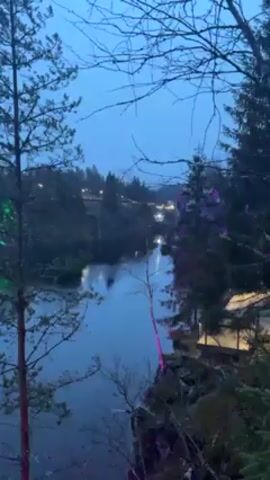 The video shows a still shot of a body of water surrounded by trees. The sky is a dull blue, suggesting either early morning or late evening. The trees around the water are decorated with colorful lights, primarily pink and green. The lights are reflected in the still water.  The scene appears to be a park or recreational area, possibly decorated for a holiday or event. A few bare branches are visible in the foreground, suggesting a transition season like late fall or early spring.  There is no visible human activity or movement in the video. The focus is on the landscape and the decorative lights.