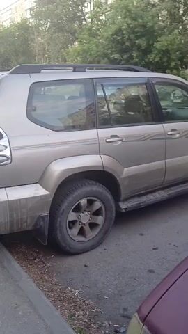 A silver SUV is parked on a paved surface next to a curb. The vehicle is viewed from the side, with the rear portion of the driver's side visible. Trees and a building are in the background.